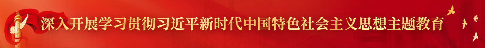 深入開展學(xué)習(xí)貫徹習(xí)近平新時(shí)代中國(guó)特色社會(huì)主義思想主題教育